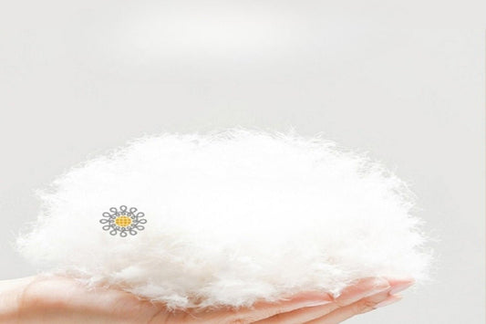 coussin allaitement qualité premium Eveilune